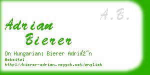 adrian bierer business card